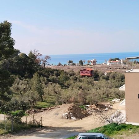 Theasis1 Βίλα Νέος Μαρμαράς Εξωτερικό φωτογραφία